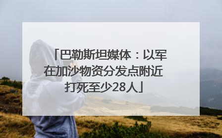 巴勒斯坦媒体：以军在加沙物资分发点附近打死至少28人