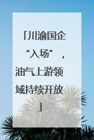 川渝国企“入场”，油气上游领域持续开放