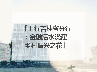 工行吉林省分行：金融活水浇灌 乡村振兴之花