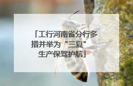 工行河南省分行多措并举为“三夏” 生产保驾护航