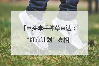巨头牵手种草直达：“红京计划”亮相