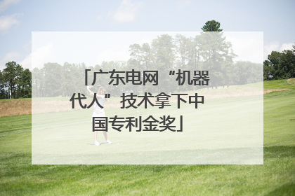 广东电网“机器代人”技术拿下中国专利金奖