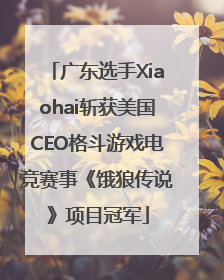 广东选手Xiaohai斩获美国CEO格斗游戏电竞赛事《饿狼传说》项目冠军
