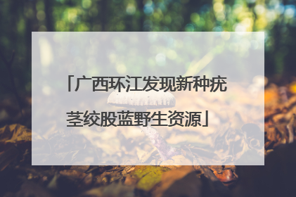 广西环江发现新种疣茎绞股蓝野生资源