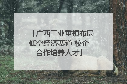 广西工业重镇布局低空经济赛道 校企合作培养人才