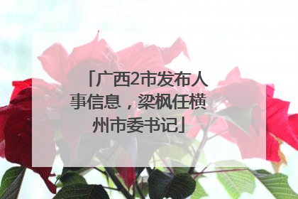 广西2市发布人事信息，梁枫任横州市委书记