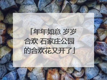 年年如意 岁岁合欢 石家庄公园的合欢花又开了