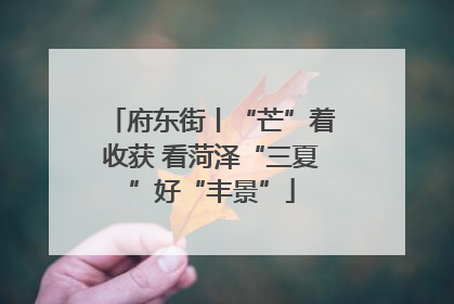 府东街丨“芒”着收获 看菏泽“三夏”好“丰景”