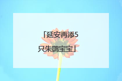 延安再添5只朱鹮宝宝