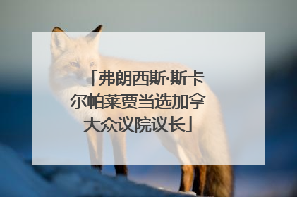 弗朗西斯·斯卡尔帕莱贾当选加拿大众议院议长