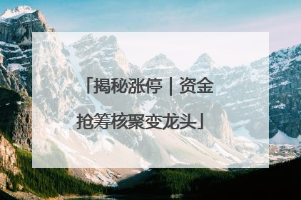 揭秘涨停｜资金抢筹核聚变龙头