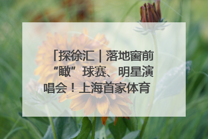 探徐汇｜落地窗前“瞰”球赛、明星演唱会！上海首家体育特色高端酒店亮相