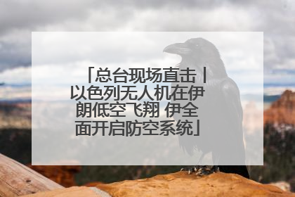 总台现场直击丨以色列无人机在伊朗低空飞翔 伊全面开启防空系统