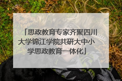 思政教育专家齐聚四川大学锦江学院共研大中小学思政教育一体化