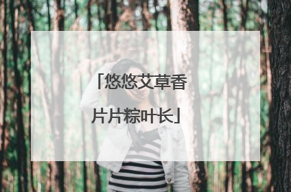 悠悠艾草香 片片粽叶长