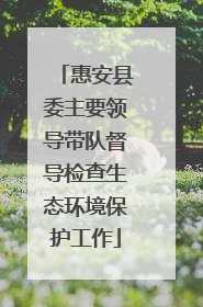 惠安县委主要领导带队督导检查生态环境保护工作