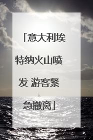 意大利埃特纳火山喷发 游客紧急撤离