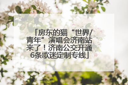 房东的猫“世界/青年”演唱会济南站来了！济南公交开通6条歌迷定制专线