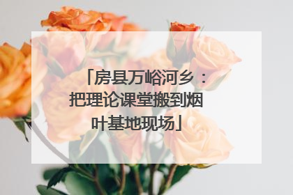 房县万峪河乡：把理论课堂搬到烟叶基地现场