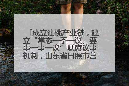 成立油桃产业链，建立“常态一季一议、要事一事一议”联席议事机制，山东省日照市莒县果庄镇——13个党小组“全周期”育果