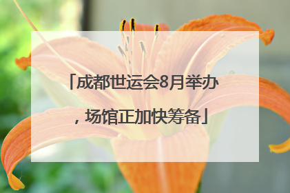 成都世运会8月举办，场馆正加快筹备