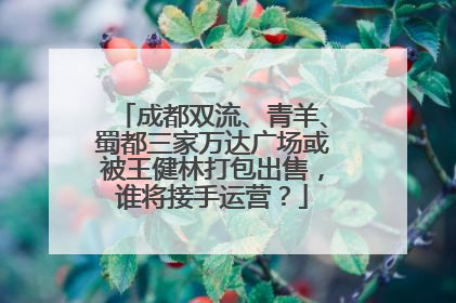 成都双流、青羊、蜀都三家万达广场或被王健林打包出售，谁将接手运营？