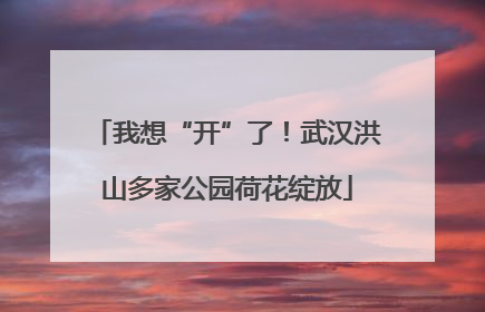 我想“开”了！武汉洪山多家公园荷花绽放