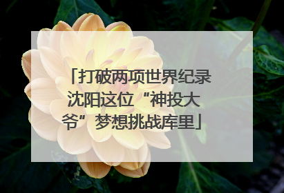 打破两项世界纪录 沈阳这位“神投大爷”梦想挑战库里
