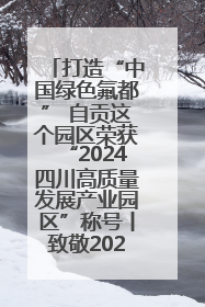 打造“中国绿色氟都” 自贡这个园区荣获“2024四川高质量发展产业园区”称号丨致敬2024经济影响力人物