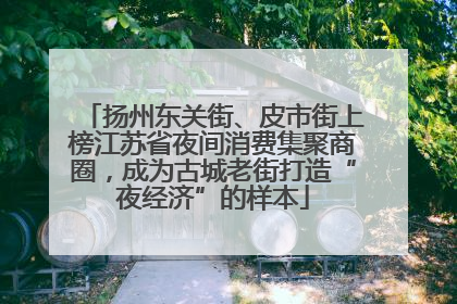 扬州东关街、皮市街上榜江苏省夜间消费集聚商圈，成为古城老街打造“夜经济”的样本