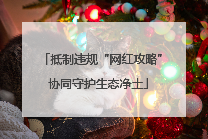抵制违规“网红攻略” 协同守护生态净土