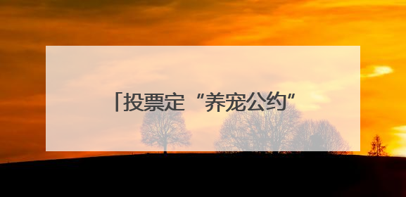 投票定“养宠公约”、为爱宠做牵引绳、比拼谁家人宠最默契，这场活动有趣更有意义