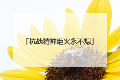 抗战精神炬火永不熄