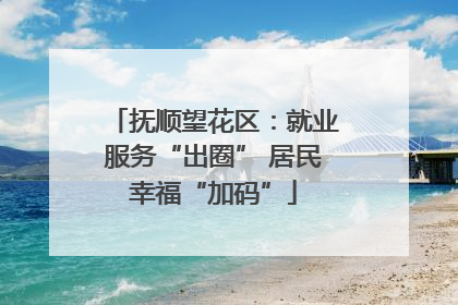 抚顺望花区：就业服务“出圈” 居民幸福“加码”