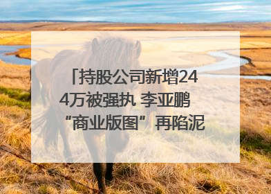 持股公司新增244万被强执 李亚鹏“商业版图”再陷泥潭？｜科技观察
