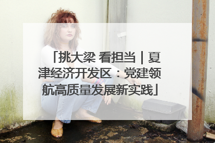 挑大梁 看担当｜夏津经济开发区：党建领航高质量发展新实践