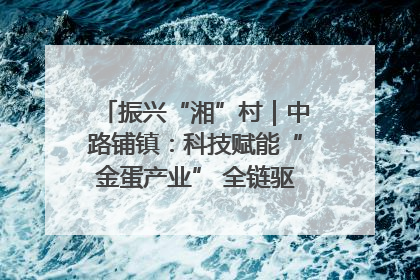 振兴“湘”村｜中路铺镇：科技赋能“金蛋产业” 全链驱动乡村振兴