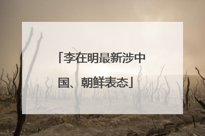 李在明最新涉中国、朝鲜表态