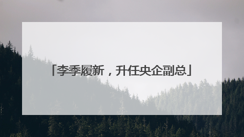 李季履新，升任央企副总