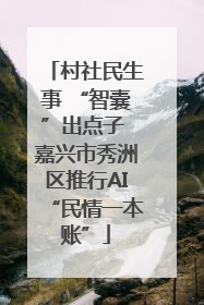 村社民生事 “智囊”出点子 嘉兴市秀洲区推行AI“民情一本账”