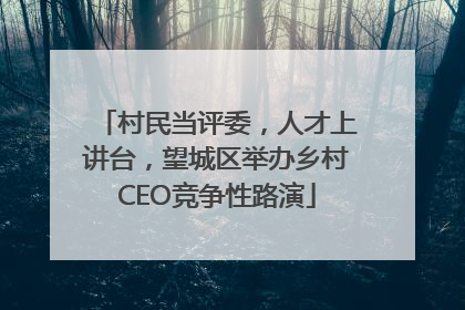 村民当评委，人才上讲台，望城区举办乡村CEO竞争性路演