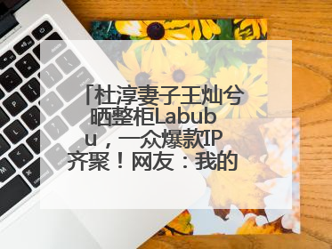 杜淳妻子王灿兮晒整柜Labubu，一众爆款IP齐聚！网友：我的 “梦中情柜”