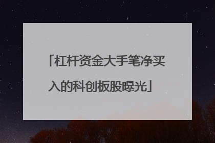 杠杆资金大手笔净买入的科创板股曝光