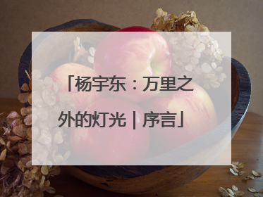 杨宇东：万里之外的灯光｜序言