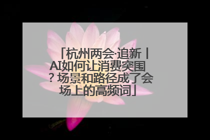 杭州两会·追新丨AI如何让消费突围？场景和路径成了会场上的高频词