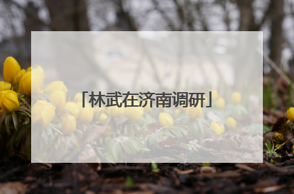 林武在济南调研