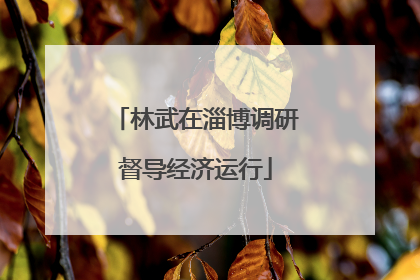 林武在淄博调研督导经济运行