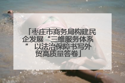 枣庄市商务局构建民企发展“三维服务体系” 以法治保障书写外贸高质量答卷