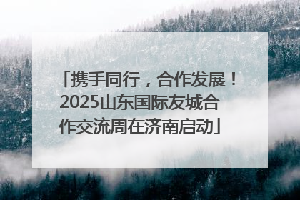 携手同行，合作发展！2025山东国际友城合作交流周在济南启动