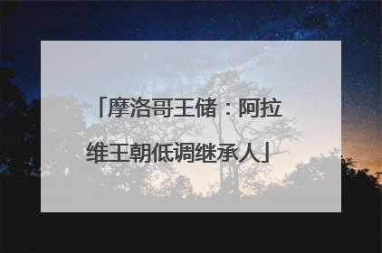摩洛哥王储：阿拉维王朝低调继承人